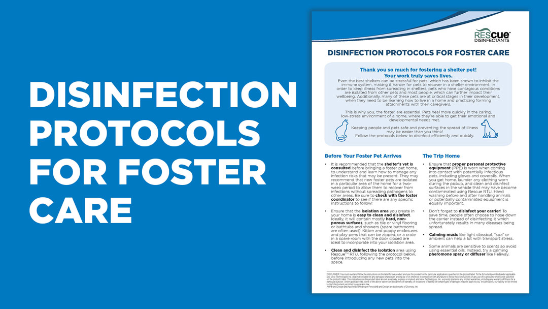 Disinfection Protocols for Foster Care - Rescue